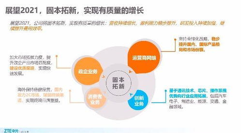 深度丨直击中兴通讯2020业绩会 对 缺芯 已提前储备,政企业务进入发展快车道