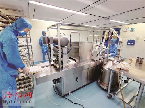 科技护牧 洛阳惠中生物以高端疫苗研发铸就畜牧安全屏障